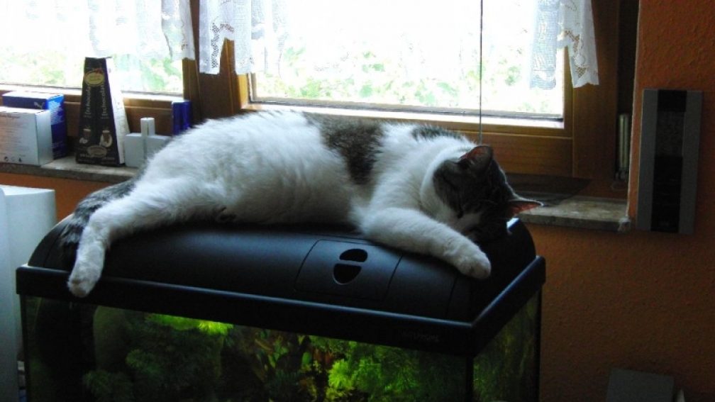 Aquarium Hauptansicht von Waterhome