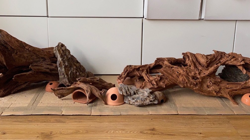 Hardscape v1 - von vorne