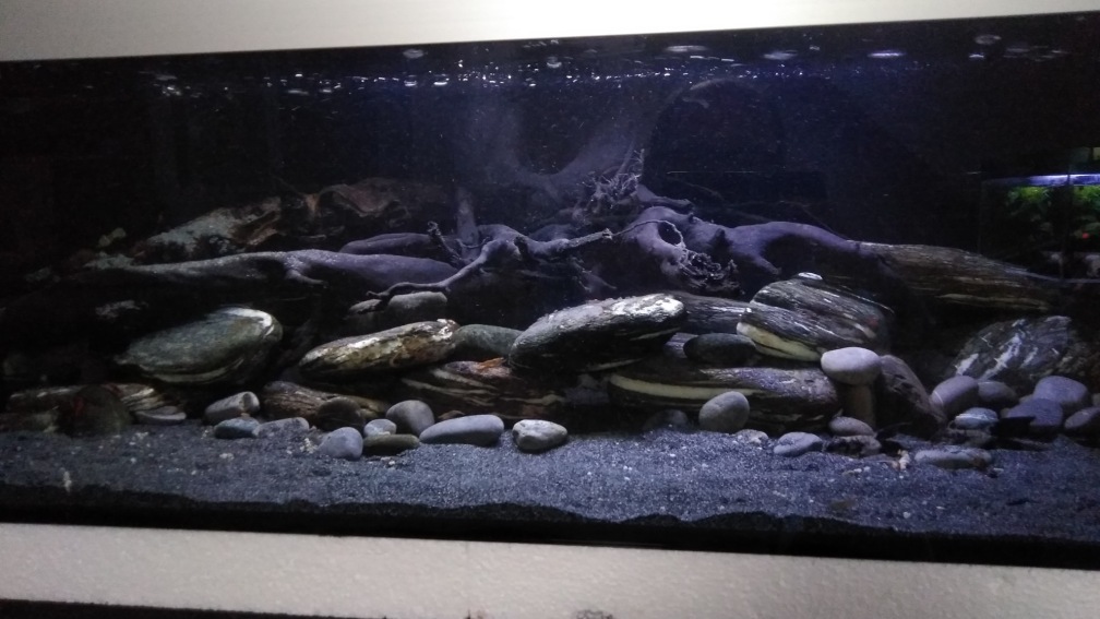 Aquarium Hauptansicht von Südamerika L46