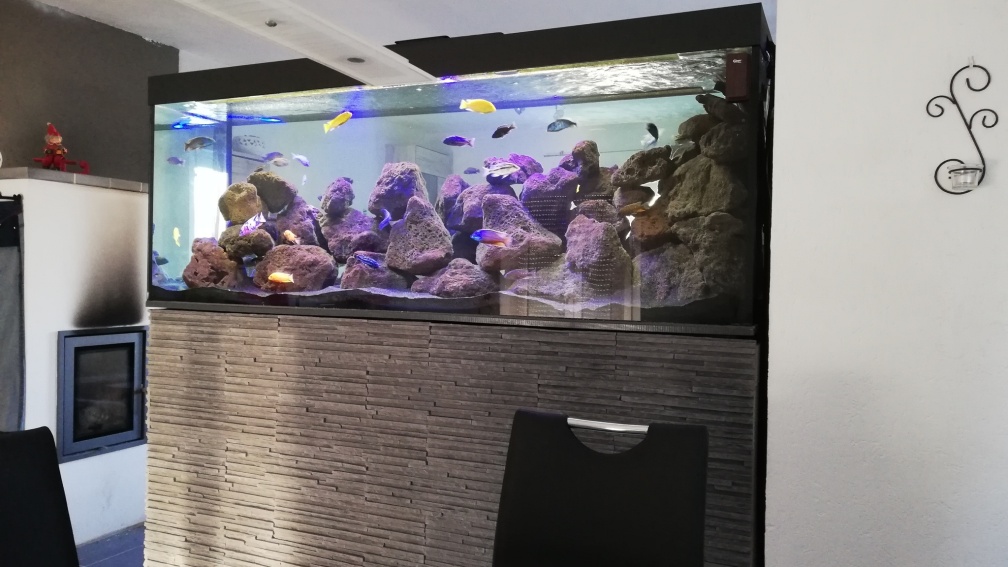 Aquarium als Raumtrenner