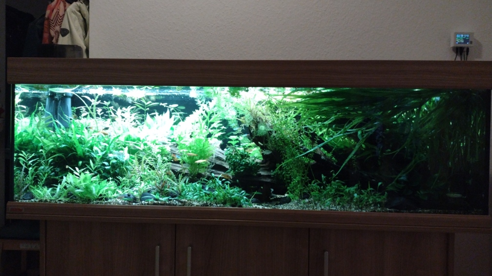 Hauptansicht am 17.12.2023